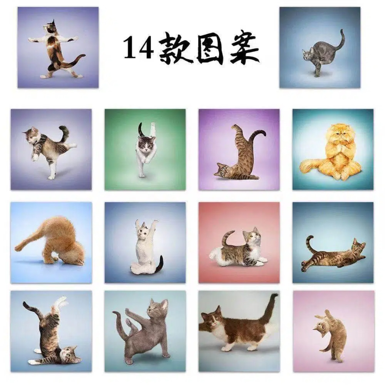 500枚入り 可愛い猫ロールステッカー 面白いヨガ猫 カワイ - Fitness Journal Planner のレビューと価格