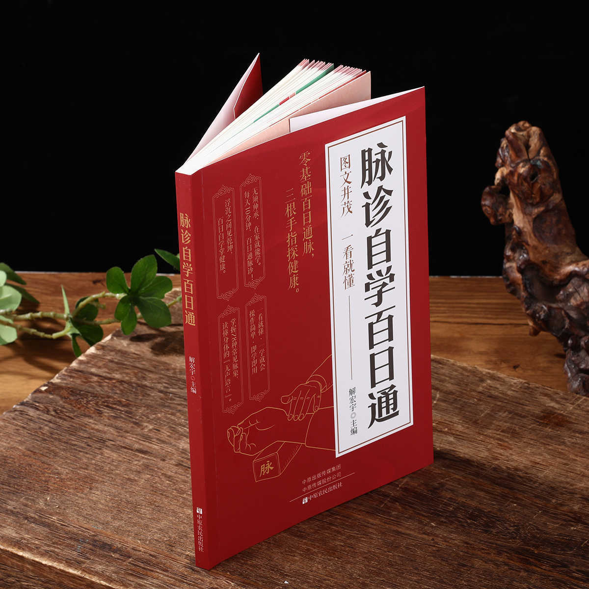 脈診独学百日合格、伝統中国医学入門独学健康書 - Health & Wellness Junior Premium Adjustable Arm Sling のレビューと価格